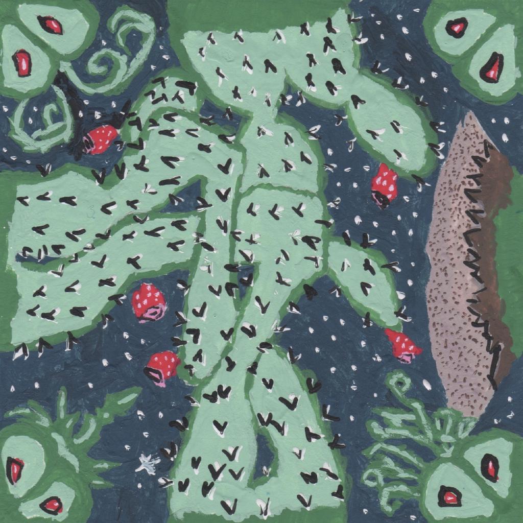 nopal hikuri puzzle piece scan